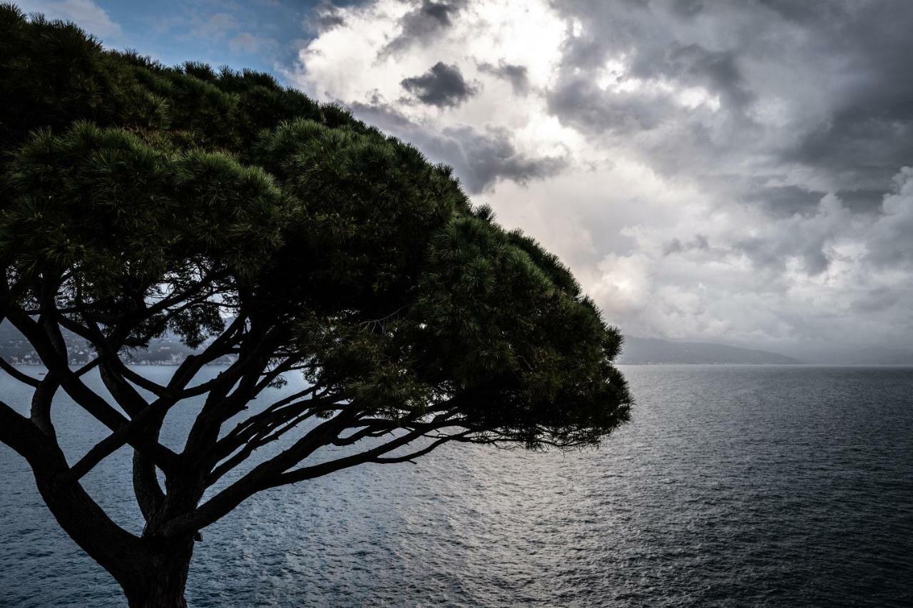 Hotel Blu Di Te Santa Margherita Ligure Eksteriør bilde